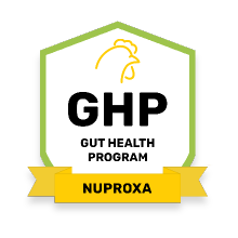 Gut Health Program - Nuproxa