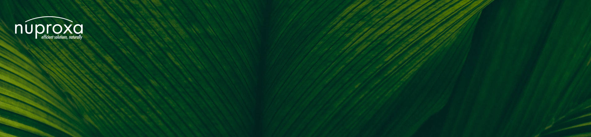 Nuproxa