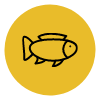 Reduce la prevalencia y severidad de deformidades esqueléticas en peces