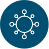 Highly bioavailable nucleotides