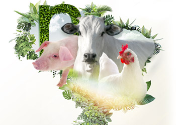 Nuproxa lança no Brasil sua Nova Linha de Produtos para Nutrição Animal