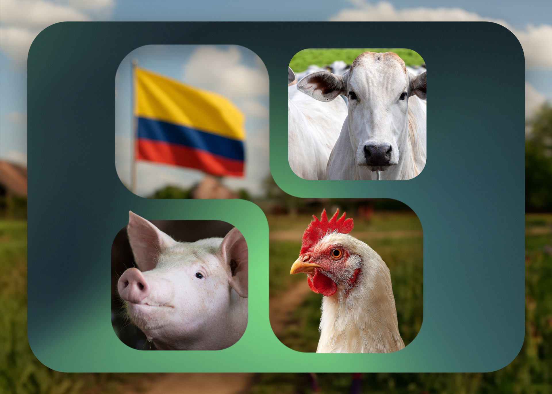 BioCholine® ahora es Natu-B4® en Colombia: la misma eficacia y con producción europea