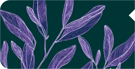 Metabolismo da metionina