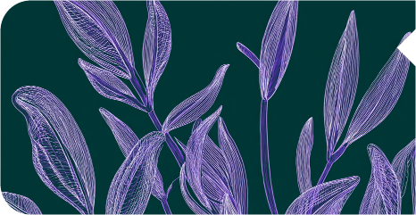 Vitamine E synthétique