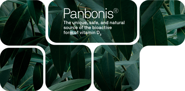 Panbonis®, fuente de vitamina D naturalmente activa