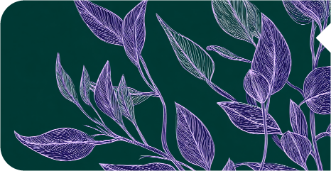 Fish and shrimp feed formulation