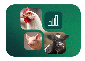 Natu-B4®: 22 años de innovación en colina natural con validación científica